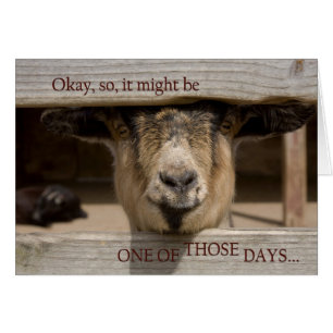 Cartão Tendo um desses dias