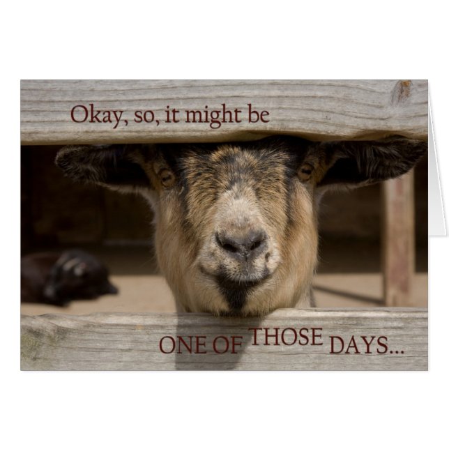 Cartão Tendo um desses dias (Frente Horizontal)