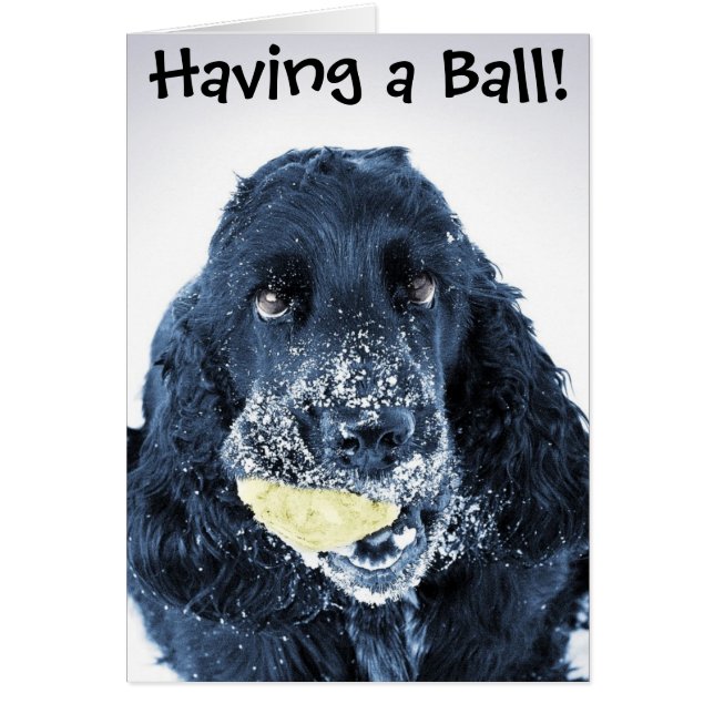 Cartão Tendo uma bola! (Frente)