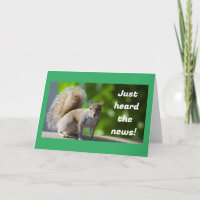 **TENHA O MELHOR ANIVERSÁRIO *** diz SQUIRREL