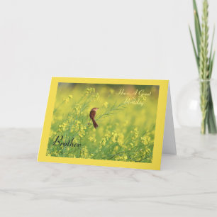 Cartão Tenha um aniversário de Excelente