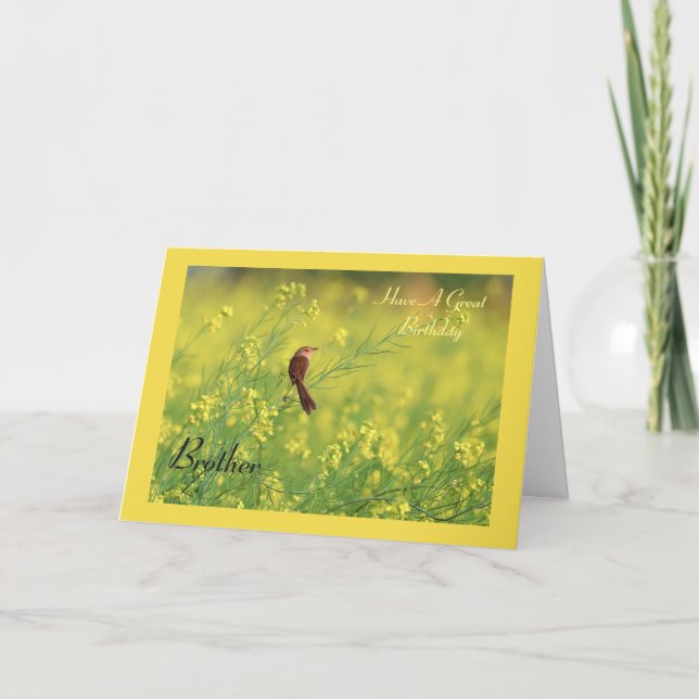 Cartão Tenha um aniversário de Excelente (Frente)