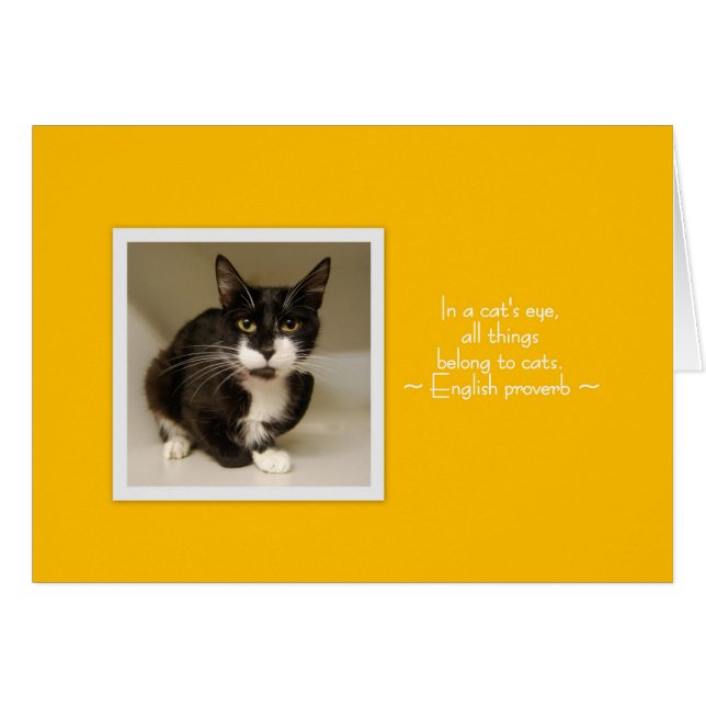 Cartão Tenha um dia meow-velous! (Frente Horizontal)