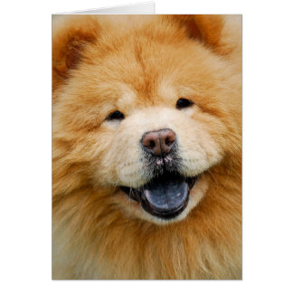 Cartão Tenha um feliz