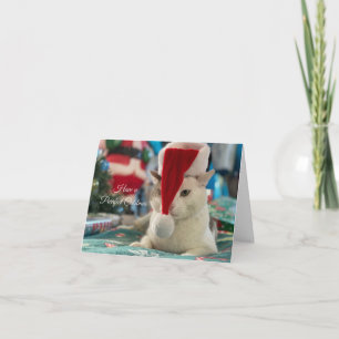 Cartão Tenham um gato de Natal puro e engraçado.
