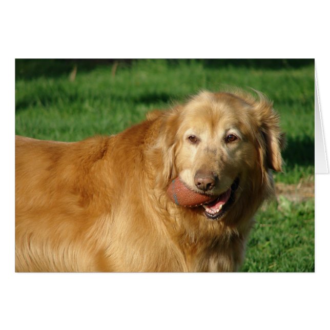 Cartão Tenho o meu futebol (Frente Horizontal)