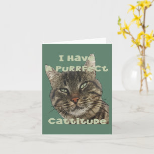Cartão Tenho Uma Cattitude Perfeita Citação Divertida e P