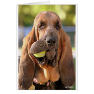 Cartão Tênis, qualquer um?