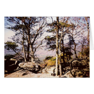 Cartão Tennessee Wilds