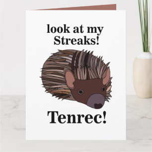 Cartão Tenrec Animal Engraçado