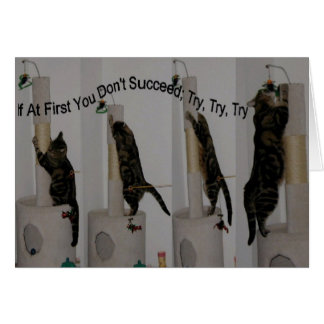 Cartão Tente até que você possa