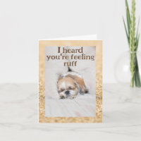 Tente melhorar cachorrinho fofo shihtzu dormindo f