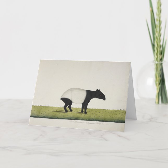 Cartão Tepir Greeting Card (Frente)