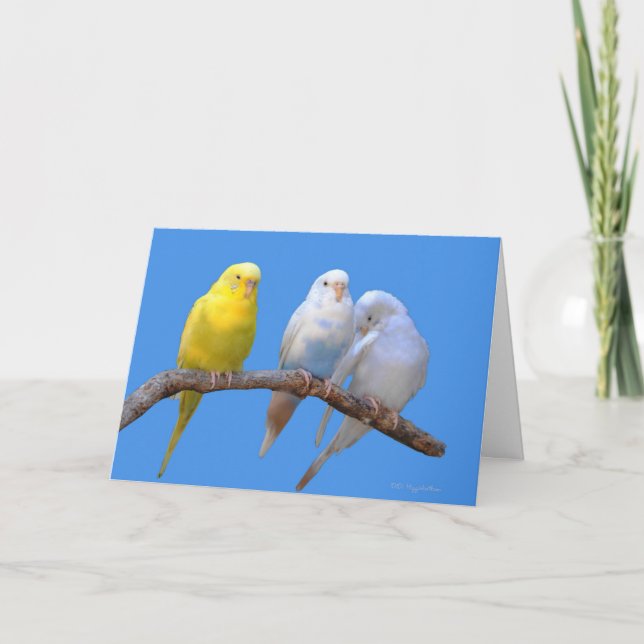 Cartão Terceiro Roda (Frente)