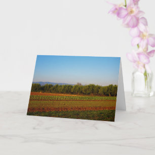 Cartão Terra Agrícola em Valência, Espanha