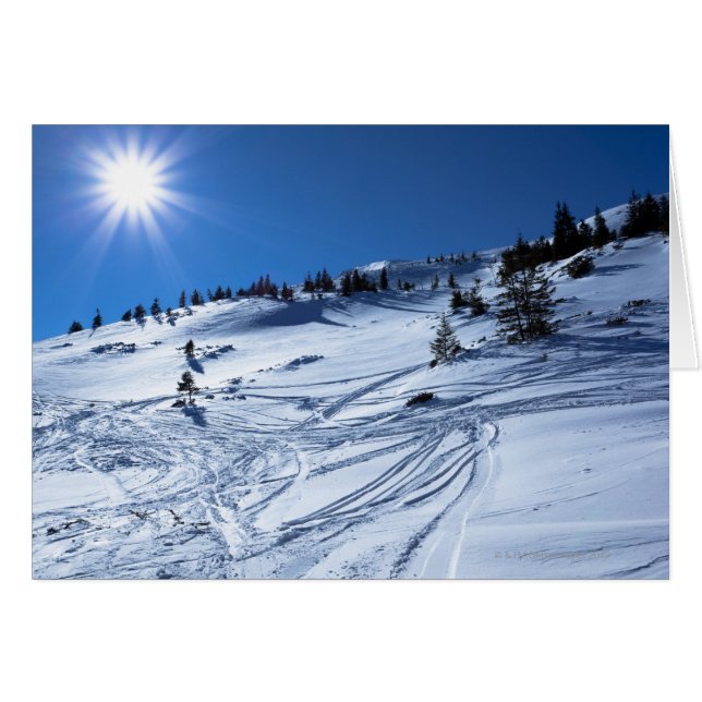 Cartão Terra de inverno Sol de inverno (Frente Horizontal)