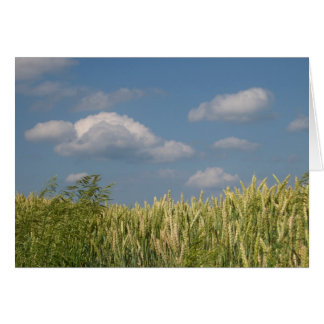 Cartão Terra e Céu