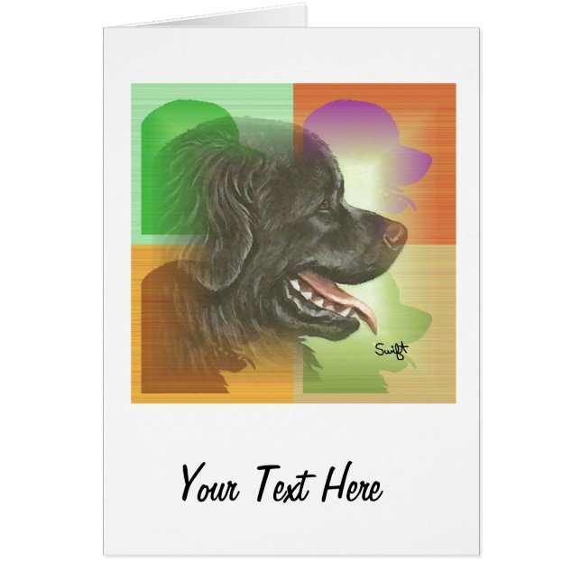 Cartão Terra Nova (Frente)