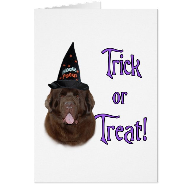 Cartão Terra Nova (marrom) Truque (Frente)