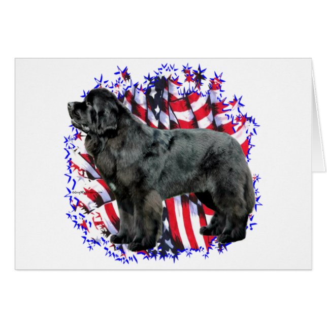 Cartão Terra Nova (preto) Patriota (Frente Horizontal)