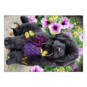 Cartão Terra Nova um o dia ensolarado