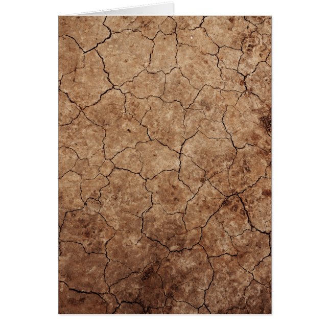 Cartão Terra Seca Fissurada Árida (Frente)