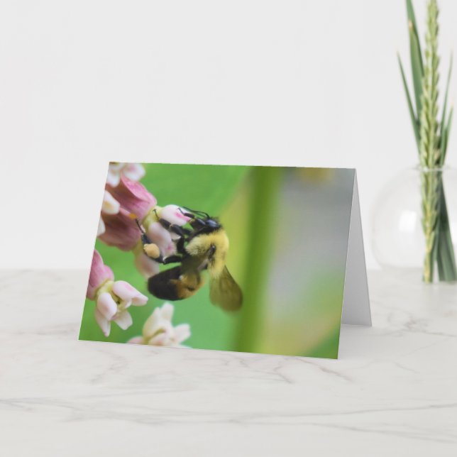 Cartão Terra Verde (Frente)