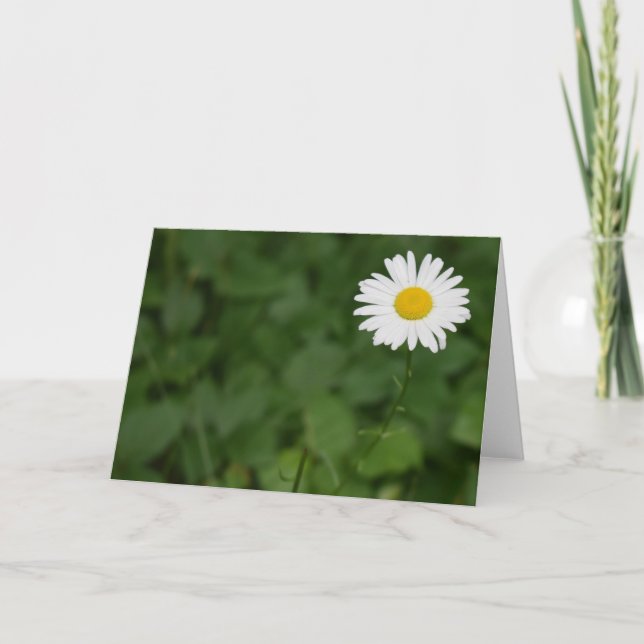 Cartão Terra Verde (Frente)