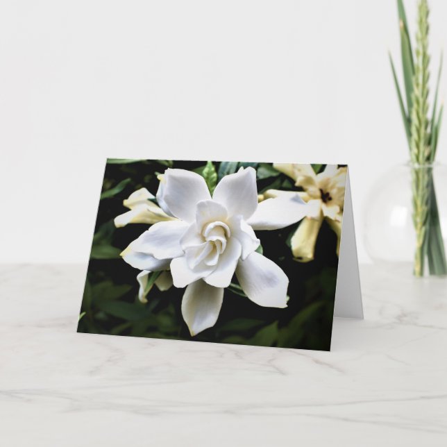 Cartão Terra Verde (Frente)