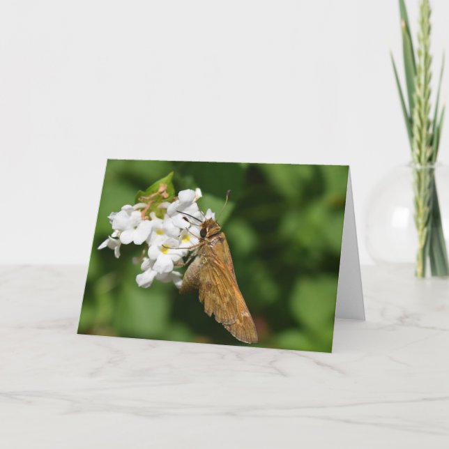 Cartão Terra Verde (Frente)