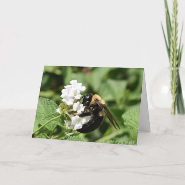 Cartão Terra Verde (Frente)