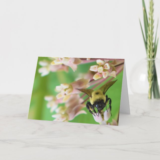 Cartão Terra Verde (Frente)