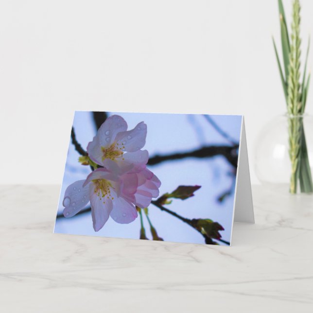 Cartão Terra Verde (Frente)