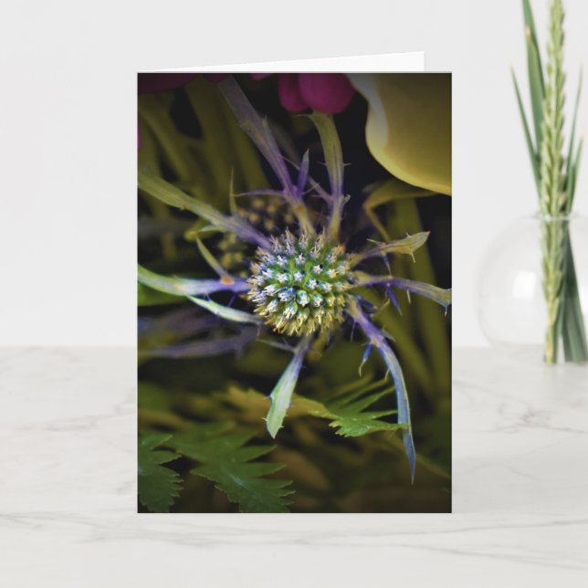 Cartão Terra Verde, carta (Frente)