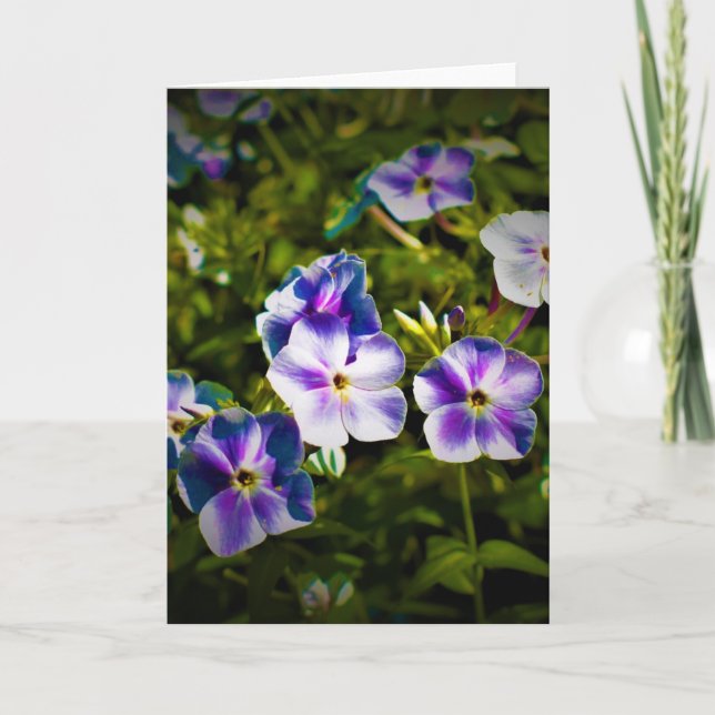 Cartão Terra Verde, carta (Frente)