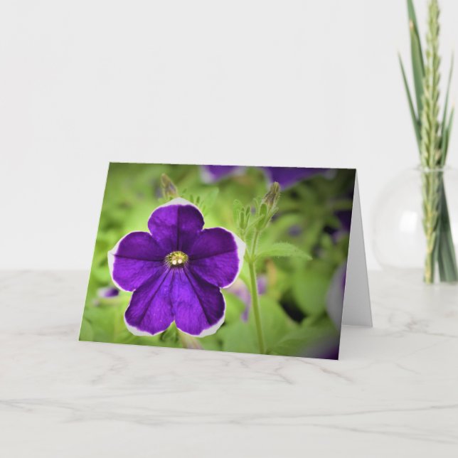 Cartão Terra Verde, carta (Frente)