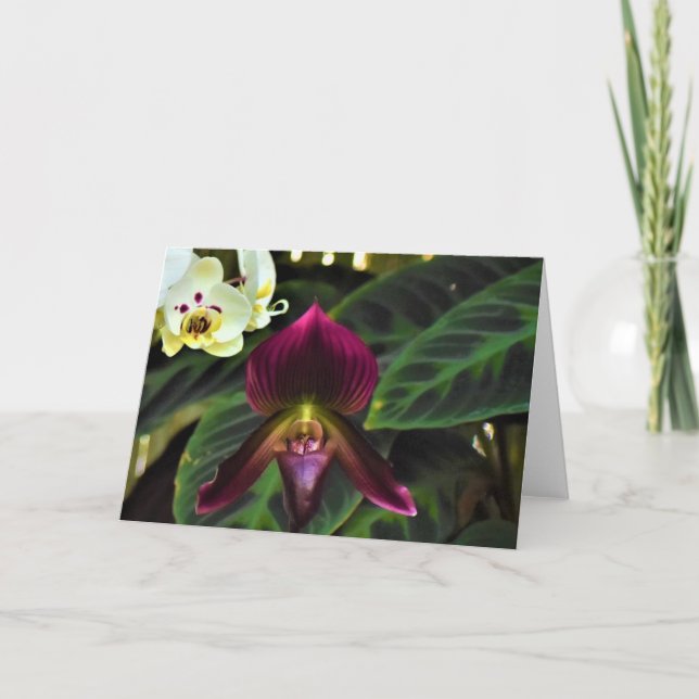 Cartão Terra Verde, carta (Frente)