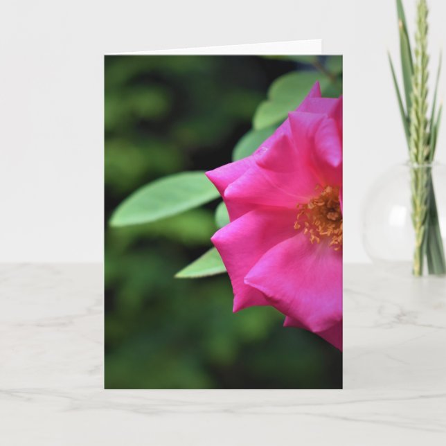 Cartão Terra Verde, carta (Frente)