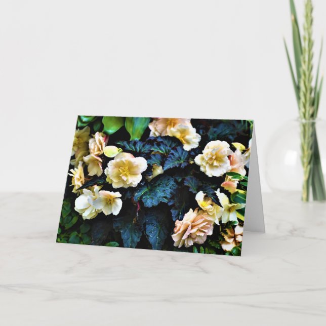 Cartão Terra Verde, carta (Frente)