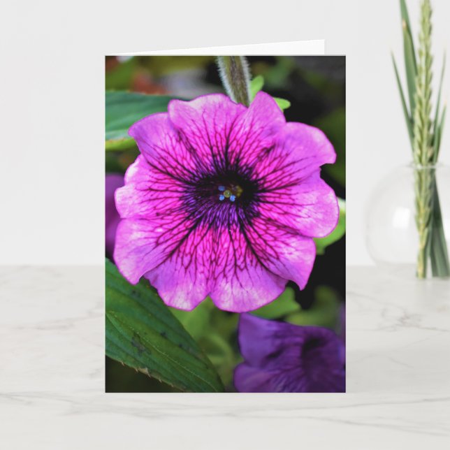 Cartão Terra Verde, carta (Frente)