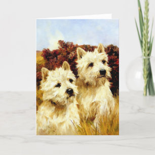 Cartão Terrenos Brancos da autoestrada Ocidental - Wardle