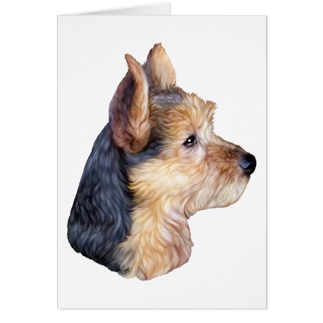 Cartão Terrier HS australiano (Frente)