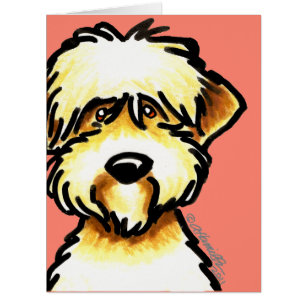 Cartão Terrier Wheaten brandamente revestido enfrenta