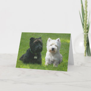 Cartão Terriers Escoceses e West Highland Greenwood
