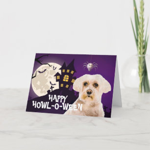 Cartão Terrorífico Maltese Terrier Halloween