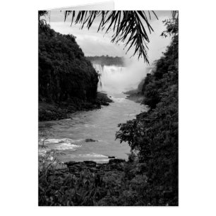 Cartão Tesouro na selva