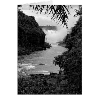 Cartão Tesouro na Selva