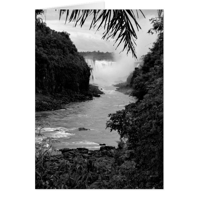 Cartão Tesouro na Selva (Frente)