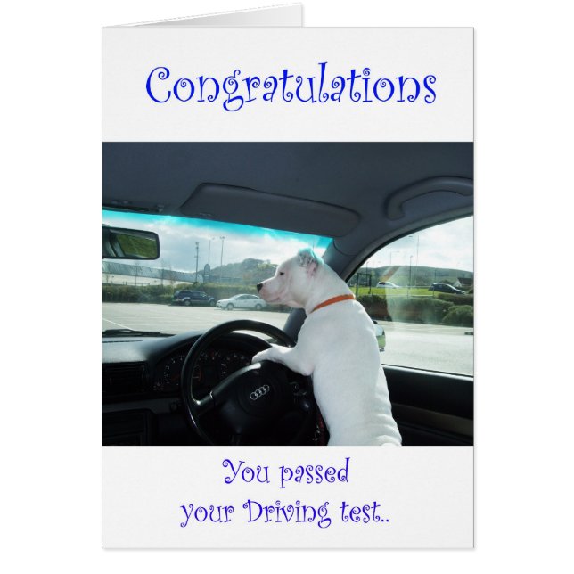 Cartão Teste de condução com falha de limpeza (Frente)