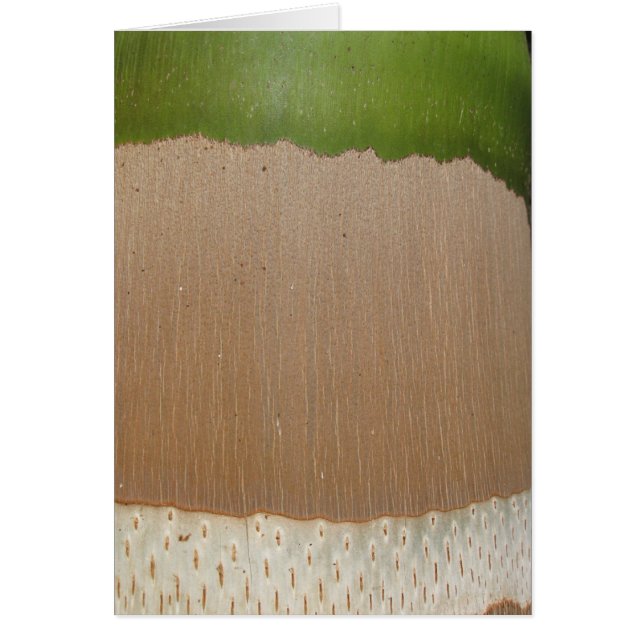 Cartão Teste padrão da palma (Frente)